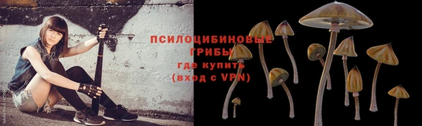 марихуана Белокуриха