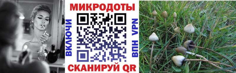 Галлюциногенные грибы Psilocybine cubensis  Купить закладки  Семилуки 